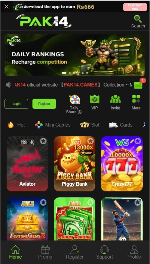 Pak14 Game interface screenshot